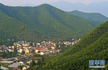 “為什么說綠水青山就是金山銀山？”