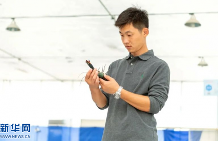 “85后”跨界養(yǎng)蝦，“碼農(nóng)”變身“新農(nóng)人”