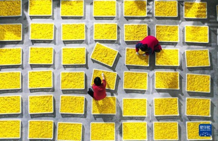 承壓前行，穩(wěn)中有進——透視2022年中國經(jīng)濟答卷