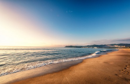 科技名詞 | 潮上帶  supralittoral zone，supratidal zone