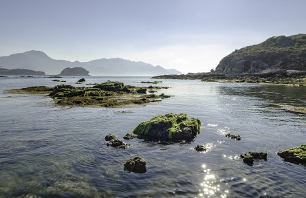 科技名詞 | 潮下帶  subtidal zone