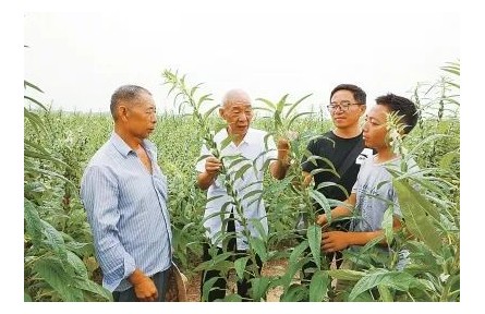 “中國(guó)好人”劉世揚(yáng)：我這輩子，就做育種一件事