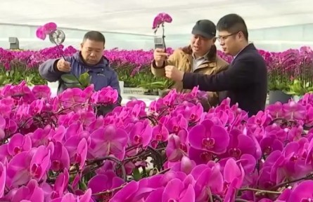 我國“一村一品”示范村鎮(zhèn)累計達到4068個