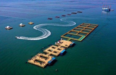 如何因地制宜踐行大食物觀？