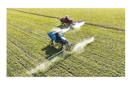 冬小麥冬油菜面積增加、長勢正?！３旨Z食穩(wěn)產(chǎn)增產(chǎn)好勢頭