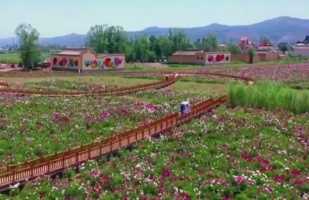 【開好局 起好步】甘肅：以優(yōu)勢產業(yè)激發(fā)鄉(xiāng)村振興新動能