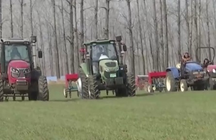 安徽宿州：科學(xué)田管合理施肥 促進小麥苗情轉(zhuǎn)化升級