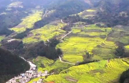 【新思想引領(lǐng)新征程】搶抓農(nóng)時備春耕 全力以赴提升糧食產(chǎn)能