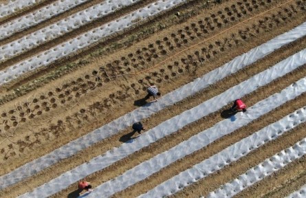 貴州黔南州搶抓農(nóng)時 有序開展春耕備耕