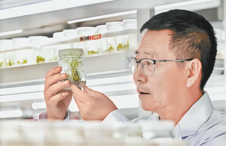 張應(yīng)龍：扎根沙漠的“種樹(shù)人”