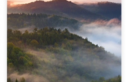 名言 | 孟子：所不慮而知者，良知也