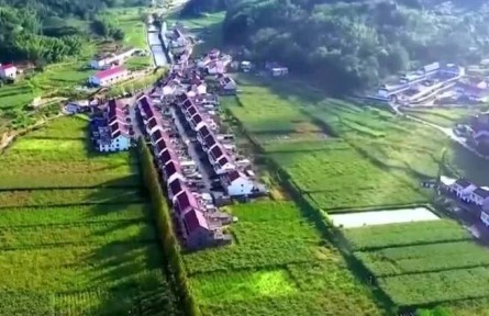 【新思想引領新征程】全面推進鄉(xiāng)村振興 加快建設農(nóng)業(yè)強國