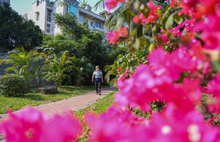 海南海口：2022年完成8個(gè)“口袋公園”建設(shè) 新增公園面積2.74公頃
