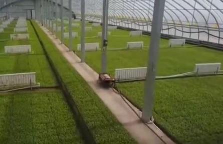 甘肅：春耕有序有力開(kāi)展 筑牢糧食豐收之基