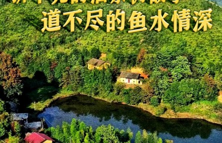 十年兩會·溫暖記憶｜“講不完的油茶樹故事，道不盡的魚水情深”