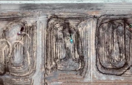 葛艷?。翰幻胤N水稻 鹽堿地飄出稻花香