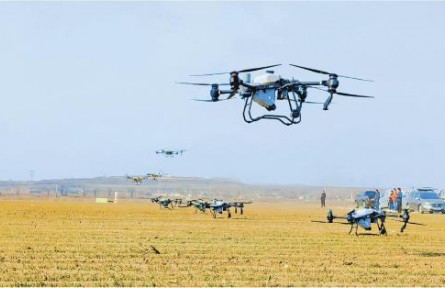 山東：小麥春管忙不停，夏糧豐收增保障——山東扎實(shí)推進(jìn)鄉(xiāng)村振興一線見(jiàn)聞（上）