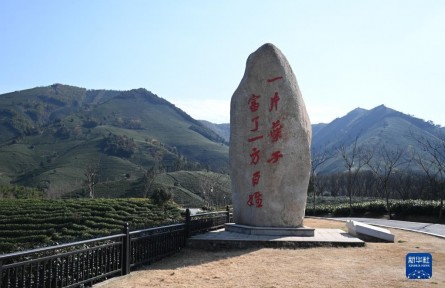 “共富茶”香，跨越2000公里的山海情緣——浙江安吉黃杜村與西部山鄉(xiāng)的共富之路