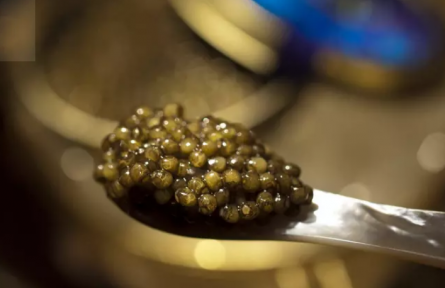 25萬(wàn)一勺魚(yú)子醬，為何到中國(guó)淪為“白菜價(jià)”？外媒：你們“毀”了它