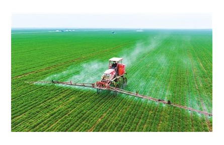 全力抓好糧食生產(chǎn)，嚴(yán)防“割青毀糧”