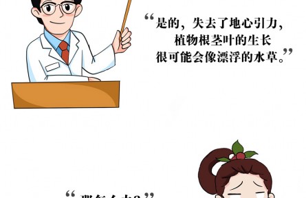 上天入地，沒有什么能阻止中國人種菜的腳步！