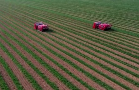河南漯河：小麥進入返青期 智慧設備助春管