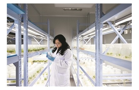 厚植沃土，為創(chuàng)新發(fā)展注入人才動(dòng)力