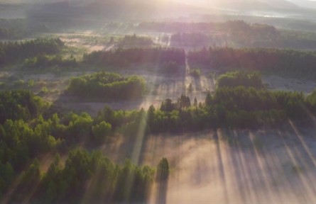 中國(guó)的植樹(shù)能力有多強(qiáng)？