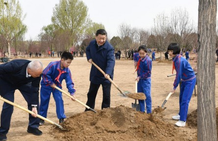 植樹節(jié)，跟著總書記一起種下綠色的希望