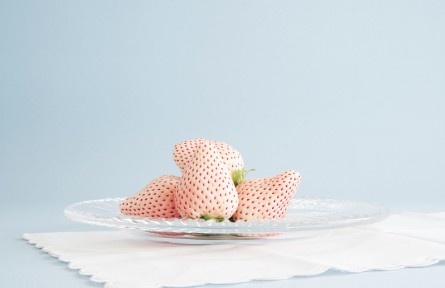 辟謠 | 白色草莓是轉(zhuǎn)基因水果嗎？