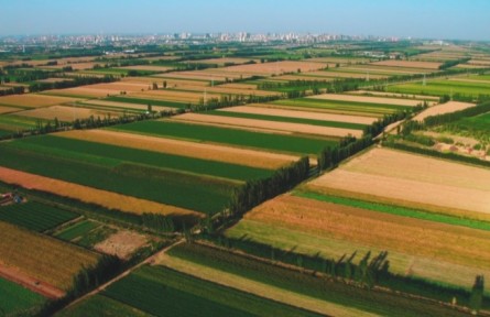 新疆兵團：加強高標準農(nóng)田建設 推進農(nóng)業(yè)現(xiàn)代化