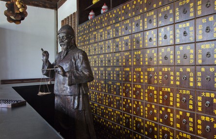 科技名詞 | 金匱要略 Jingui Yaolüe，Synopsis of Golden Chamber