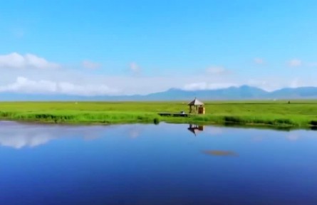 【新思想引領(lǐng)新征程】加強生態(tài)保護修復(fù) 厚植美麗中國根基