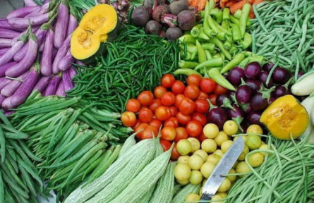 中荷無土栽培技術(shù)培訓(xùn)班（每月一期，預(yù)約報(bào)名）