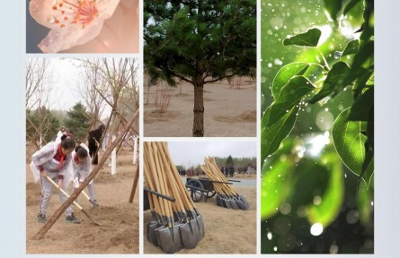 時政新聞眼 | 在今年首都義務(wù)植樹現(xiàn)場，習近平這三句話飽含深意