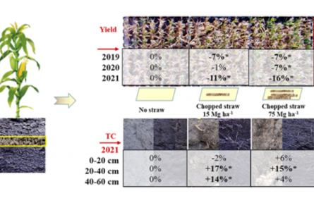 科研團(tuán)隊(duì)研發(fā)出秸稈顆?；吡窟€田技術(shù) 可快速培肥土壤助力增產(chǎn)