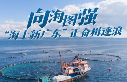 向海圖強(qiáng)！“海上新廣東”正奮楫逐浪