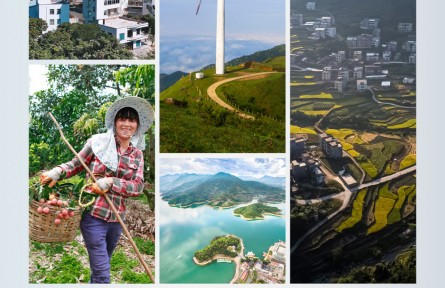 時政新聞眼 | 廣東考察第二天，習近平重點聚焦這個村