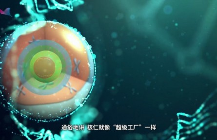 科普 | 上海科學家發(fā)現(xiàn)核糖體RNA“超級工廠”的運行新機制