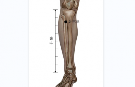 健康問(wèn)答 | 谷雨養(yǎng)生，有哪些需要注意？