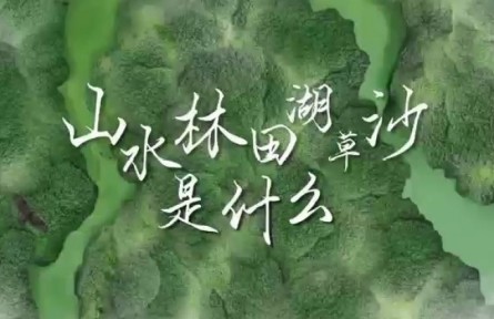 世界地球日 | 山水林田湖草沙是什么？