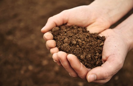 為大地問(wèn)診把脈，有種無(wú)法言說(shuō)的幸福