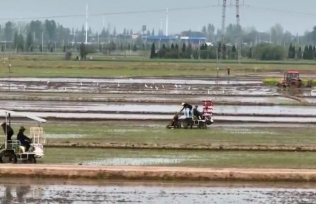 安徽：實(shí)施“兩強(qiáng)一增” 確保糧食穩(wěn)產(chǎn)豐收