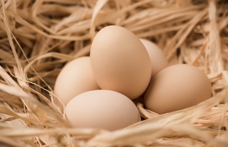 辟謠 | 吃雞蛋會(huì)影響心血管嗎？每天到底能吃幾個(gè)雞蛋？