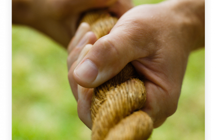 ?名言 | 呂不韋：任力者故勞，任人者故逸
