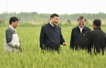 一見·從總書記下田，看糧食安全的“加減法”