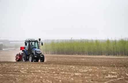 如何守護(hù)好“耕地中的大熊貓”？——東北三省糧食生產(chǎn)蹲點調(diào)研之三