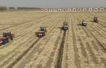 吉林：玉米已播計劃面積98% 保護(hù)性耕作受青睞