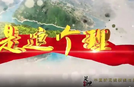 《是這個理》：黃歇口的新“稻”路