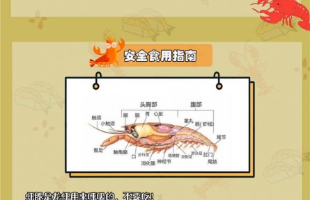 小龍蝦自帶寄生蟲？體內(nèi)藏著重金屬？吃小龍蝦原來有這些講究